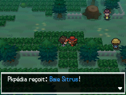 Fichier:Forêt d'Empoigne Baie Sitrus 2 N2B2.png