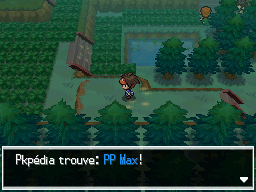 Fichier:Forêt d'Empoigne PP Max 2 N2B2.png