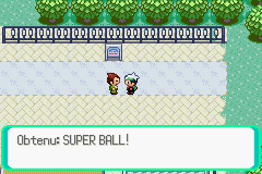 Mérouville Super Ball E.png