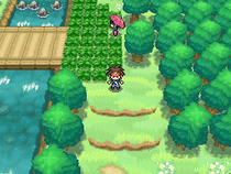 Vokit Route 6.png