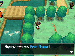 Fichier:Route 20 Gros Champi N2B2.png