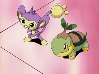 Fichier:DP020 - Capumain et Tortipouss de Sacha.png