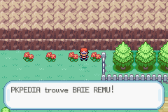 Route 25 Baie Remu RFVF.png