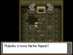 Fichier:Ruines d'Alpha Herbe Rappel HGSS.png