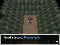 Fichier:Chemin Enfoui Grande Perle N2B2.png