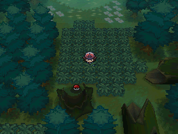 Objet Forêt d'Empoigne Hyper Potion NB.png