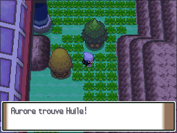 Route 206 Huile Pt.png