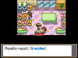 Fichier:Doublonville Gracidée HGSS.png