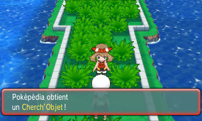 Fichier:Route 110 Cherch'Objet ROSA.png