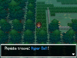 Fichier:Forêt d'Empoigne Hyper Ball 3 N2B2.png