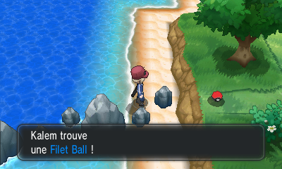 Fichier:Route 12 Filet Ball XY.png