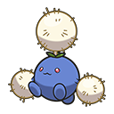 Cotovol