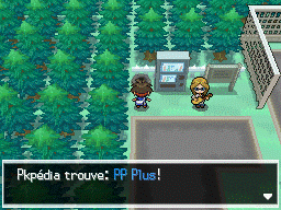 Fichier:Pont du Hameau PP Plus N2B2.png