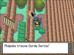 Fichier:Grotte Argentée Corde Sortie HGSS.png