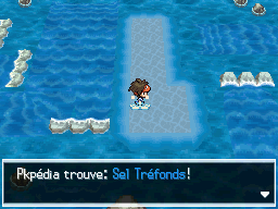 Fichier:Chenal 17 Sel Tréfonds N2B2.png