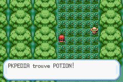 Forêt de Jade Potion RFVF.png