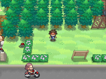 Fichier:Vokit Route 9.png