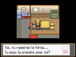 Fichier:Irisia Jus de Baie (1) HGSS.png