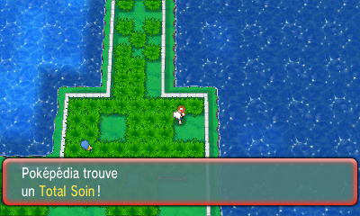 Fichier:Route 110 Total Soin ROSA.png