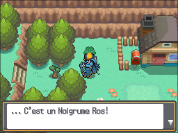 Route 30 Noigrume Rose HGSS.png