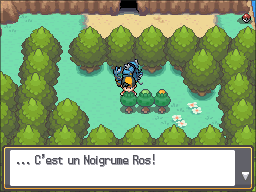 Route 42 Noigrume Rose HGSS.png