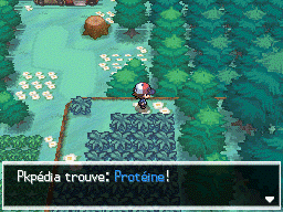 Bois des Illusions Protéine NB.png