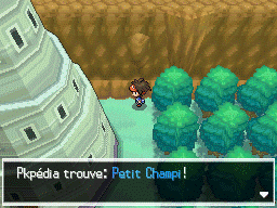 Fichier:Route 7 Petit Champi N2B2.png
