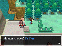 Fichier:Route 9 PV Plus N2B2.png