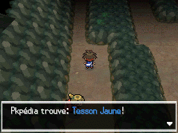 Fichier:Chemin Enfoui Tesson Jaune N2B2.png