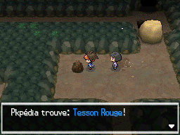 Fichier:Chemin Enfoui Tesson Rouge N2B2.png