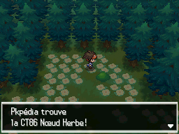 Fichier:Forêt d'Empoigne CT86 N2B2.png