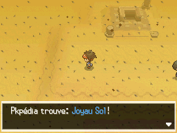 Fichier:Désert Délassant Joyau Sol N2B2.png