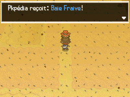 Fichier:Désert Délassant Baie Fraive 2 N2B2.png