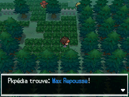 Fichier:Forêt d'Empoigne Max Repousse N2B2.png