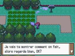 Route 202 Capture 1 Pt.png
