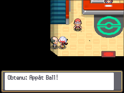 Route 32 Appât Ball HGSS.png
