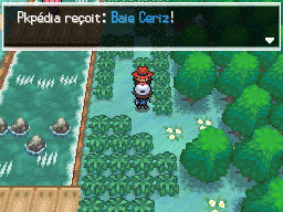Route 6 (Unys) Baie Ceriz 1 NB.png