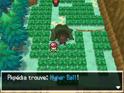 Fichier:Bois des Illusions Hyper Ball N2B2.png