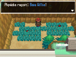 Fichier:Route 11 Baie Willia 2 N2B2.png