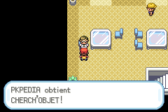 Route 11 Cherch'Objet RFVF.png