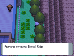 Route 206 Total Soin DP.png