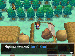 Fichier:Route 23 Total Soin N2B2.png