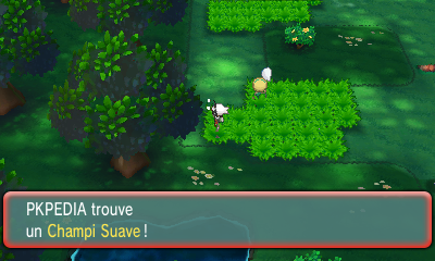 Fichier:Bois Clémenti Champi Suave ROSA.png