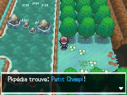 Route 6 (Unys) Petit Champi 2 NB.png