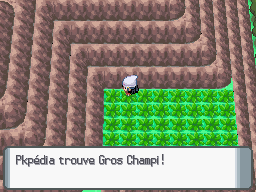 Fichier:Chenal 226 Gros Champi DP.png