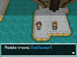 Fichier:Pont du Hameau Écaillecœur N2B2.png
