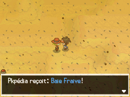 Fichier:Désert Délassant Baie Fraive 1 N2B2.png