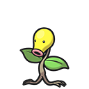 Chétiflor