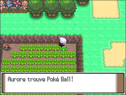 Route 207 Poké Ball Pt.png