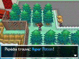 Fichier:Route 5 Hyper Potion 1 N2B2.png